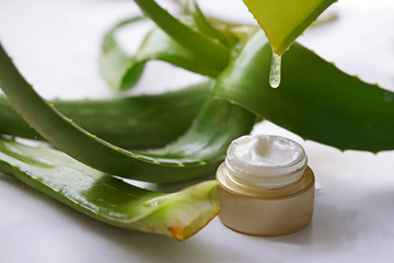 Aloe vera plant and cream