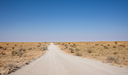 Kalahari Track