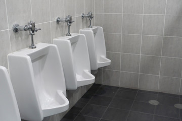  row of urinal toilet blocks