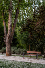 view of a wood bench in a public park with trees in background