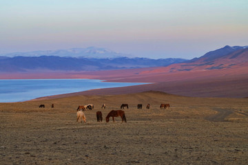 Fototapeta na wymiar Amazing winter landscape in Mongolia. Colorful scene in the mountains, Tsagaan Shuvuut National Park, Mongolia, Asia. Beauty of mountains concept background. 