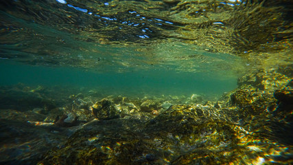 Adria Unter Wasser