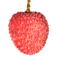 Lychee berry isolated on a white. Only one fruit with red protuberances peel. Litchi chinensis. 