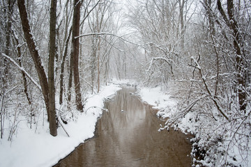 river in winter