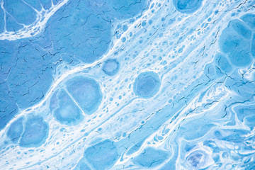 Beautiful background of liquid acrylic in blue, green and white on canvas