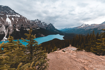 Peyto Lake