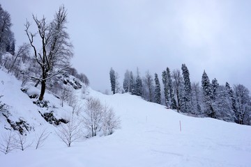 Obraz premium Beautiful winter scenery in the mountains. A lot of money. Trees and peaks of mountains, cable car.