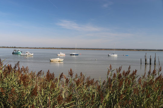 Naturidyll Loire Mündung bei Saint Nazaire
