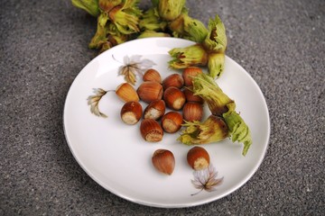 nuts on a grey background