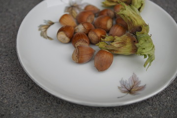 nuts on a grey background