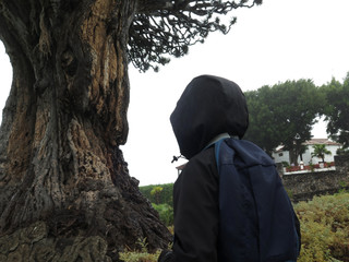 Girl next to the trunk of canary dragon tree
