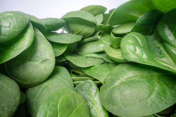 Obraz premium Macro shot of green spinach leafs. Bunch of spinach vegetable leafs stacked on top of each other. Urban farming, healthy eating lifestyle