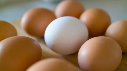 brown colored eggs and one white egg in them