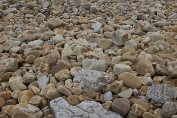  BEACH STONES ROUNDED BY EROSION