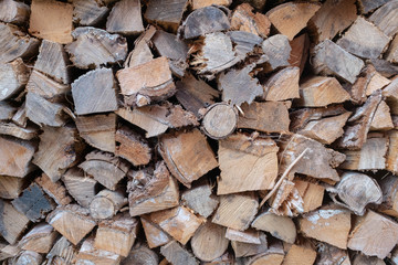 Fototapeta premium CLOSE UP OF CUTTED TREE TRUNK FOR DOMESTIC FIREWOOD