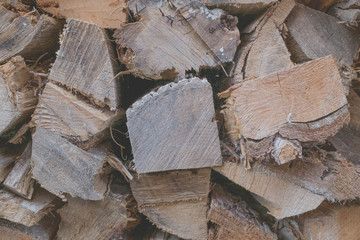 CLOSE UP OF CUTTED TREE TRUNK FOR DOMESTIC FIREWOOD
