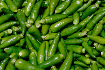 Green chilli 
