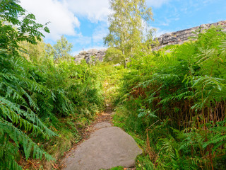 Rugged almost hidden footpath, overgrown by ferns and brambles leads up to Birchen Edge in the Peak District.