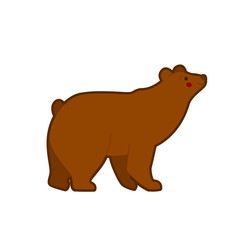 Vector illustration of brown bear