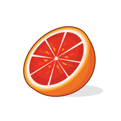 Vector illustration of grapefruit half