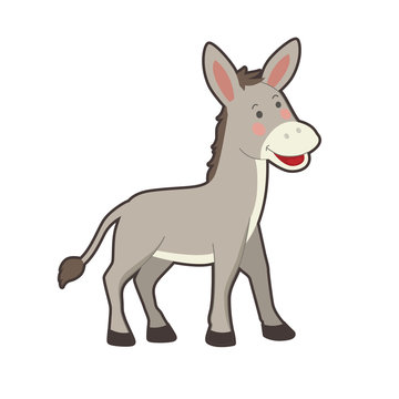Portrait of cute farm donkey