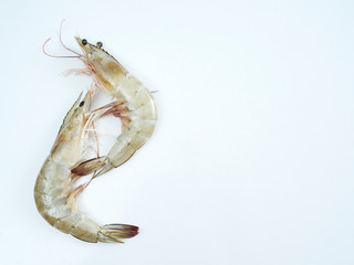 Fresh shrimp on white background