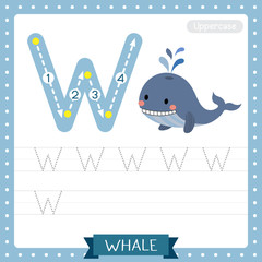 Letter W uppercase tracing practice worksheet. Blue Whale