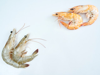 Fresh shrimp and Cooked shrimp
