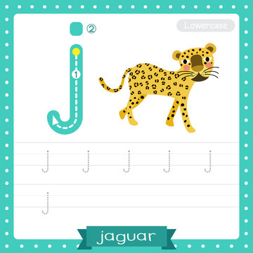Letter J lowercase tracing practice worksheet. Jaguar