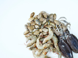 Shellfish, squid and fresh shrimp on white background