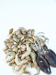 Shellfish, squid and fresh shrimp on white background