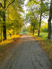 autumn