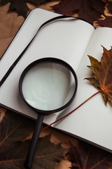 Autumn cozy composition – maple leaves, notebook and magnifying glass. Learning or travelling concept