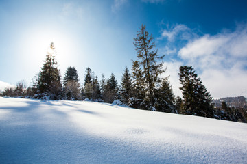 Fantastic winter landscape in sunny day. Beauty world.