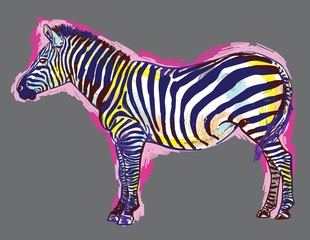 Zebra pattern markers. Pop Art. Bright print, colored spots. Freehand drawing. Zebra in full growth.