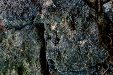 Zoom on a wall made of stone and covered by lichens and moss