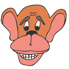 Monkey head on a white background