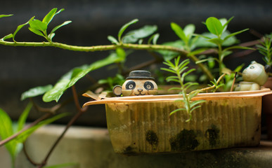 Toy panda in a pot