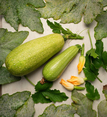 Fresh ripe green zucchini fruits with leaves and flowers on a white table .