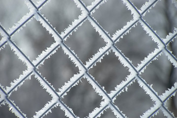 Fence with mesh netting covered with frost with blurred background.  Winter, close-up.