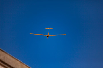 Fototapeta premium Gliding