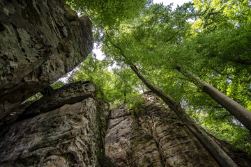 Naklejka premium Teufelsschlucht
