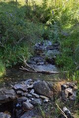 Ruisseau de montagne