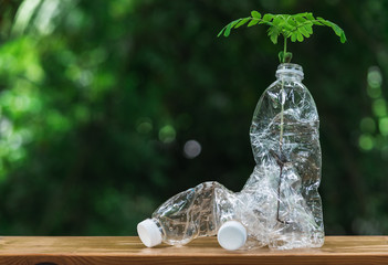 Plants inside plastic bottle  on wooden in nature background. global warming concept.