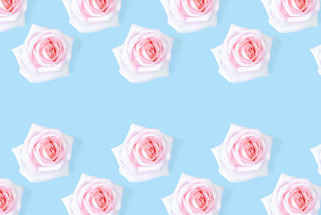 Floral pattern with a pink rose on a blue background.