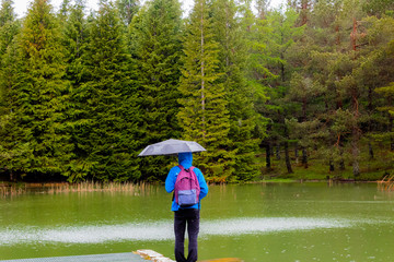 Opacua forest, which is located in Alava