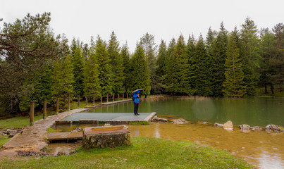 Opacua forest, which is located in Alava