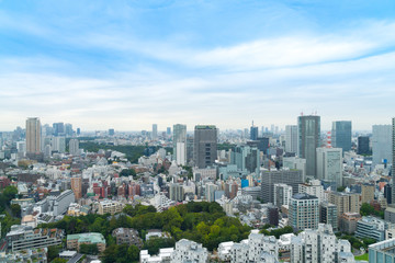 Fototapeta premium 東京風景