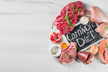Carnivore protein diet background