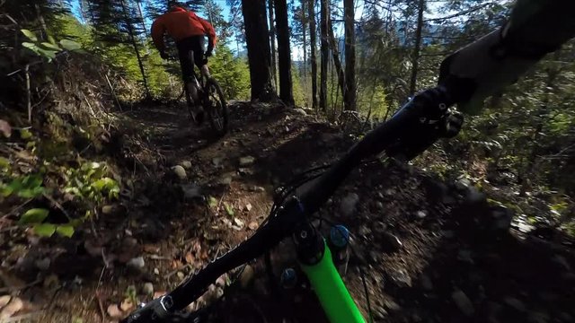 Follow Cam Of Man Riding Bike In The Forest